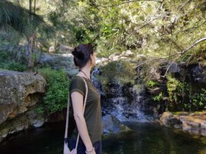 Sentier vers Cascade Bras Rouge à Cilaos