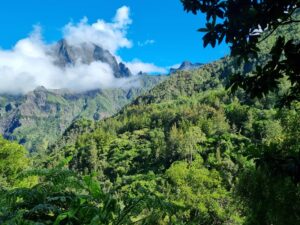 Sentier vers Cascade Bras Rouge à Cilaos