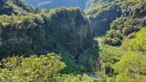 Grand Bassin rivière